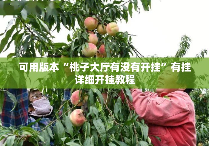 可用版本“桃子大厅有没有开挂”有挂详细开挂教程