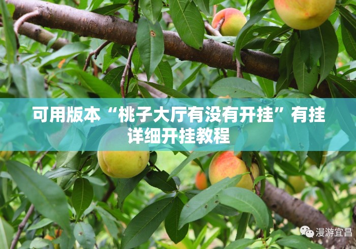 可用版本“桃子大厅有没有开挂”有挂详细开挂教程