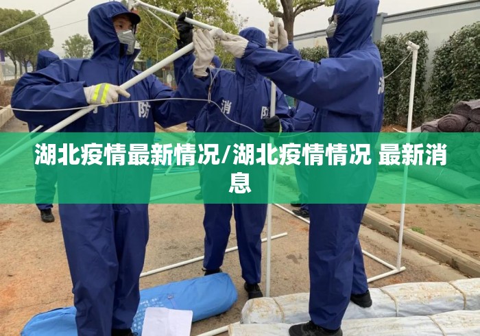 湖北疫情最新情况/湖北疫情情况 最新消息 湖北疫情最新情况/湖北疫情情况 最新消息