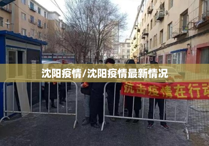 沈阳疫情/沈阳疫情最新情况 沈阳疫情/沈阳疫情最新情况