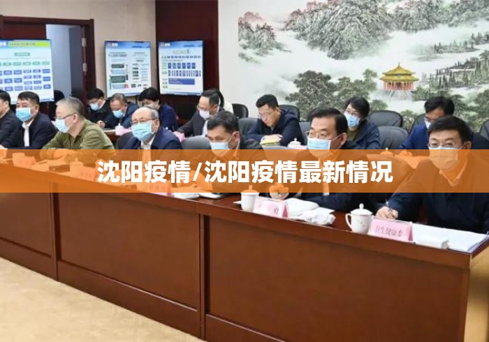 沈阳疫情/沈阳疫情最新情况 沈阳疫情/沈阳疫情最新情况