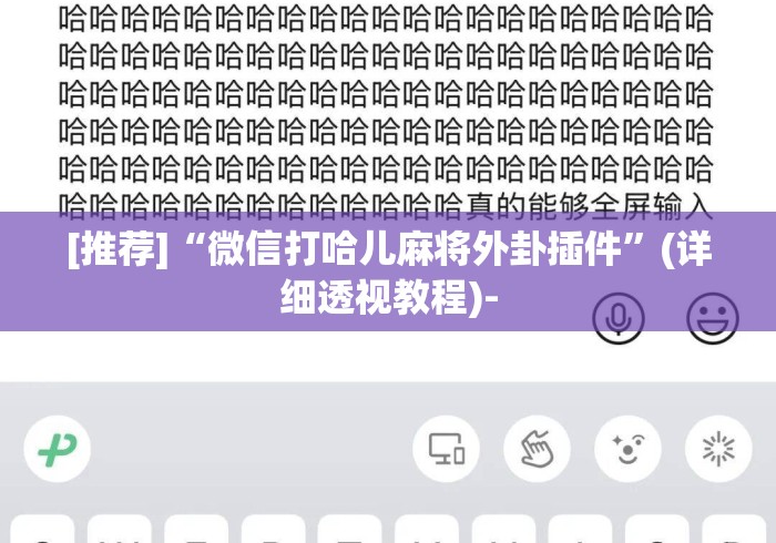 [推荐]“微信打哈儿麻将外卦插件”(详细透视教程)-
