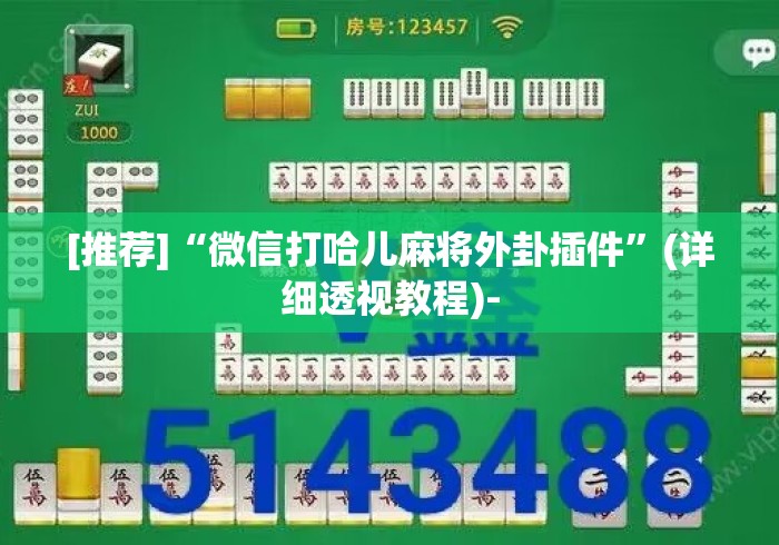 [推荐]“微信打哈儿麻将外卦插件	”(详细透视教程)-