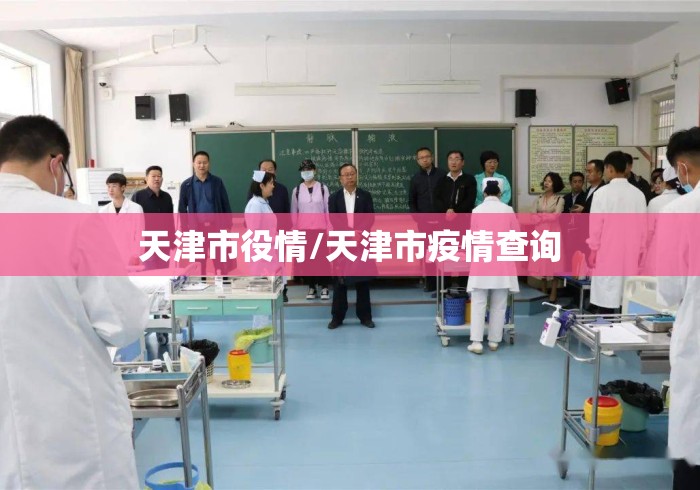 天津市役情/天津市疫情查询 天津市役情/天津市疫情查询