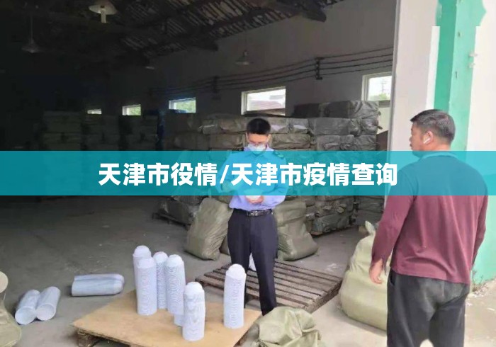 天津市役情/天津市疫情查询 天津市役情/天津市疫情查询