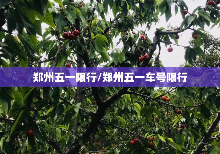 郑州五一限行/郑州五一车号限行