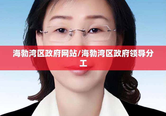 海勃湾区政府网站/海勃湾区政府领导分工
