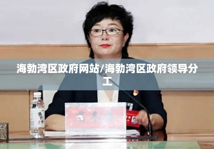 海勃湾区政府网站/海勃湾区政府领导分工