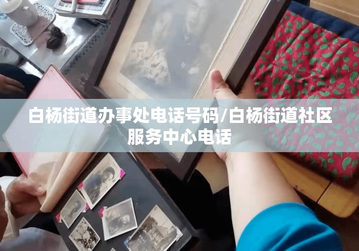 白杨街道办事处电话号码/白杨街道社区服务中心电话 白杨街道办事处电话号码/白杨街道社区服务中心电话