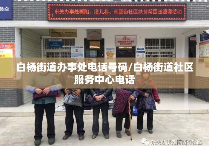白杨街道办事处电话号码/白杨街道社区服务中心电话 白杨街道办事处电话号码/白杨街道社区服务中心电话