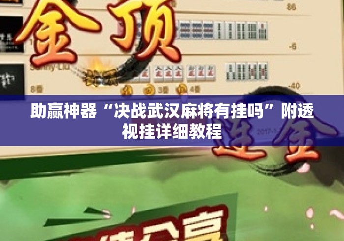助赢神器“决战武汉麻将有挂吗”附透视挂详细教程