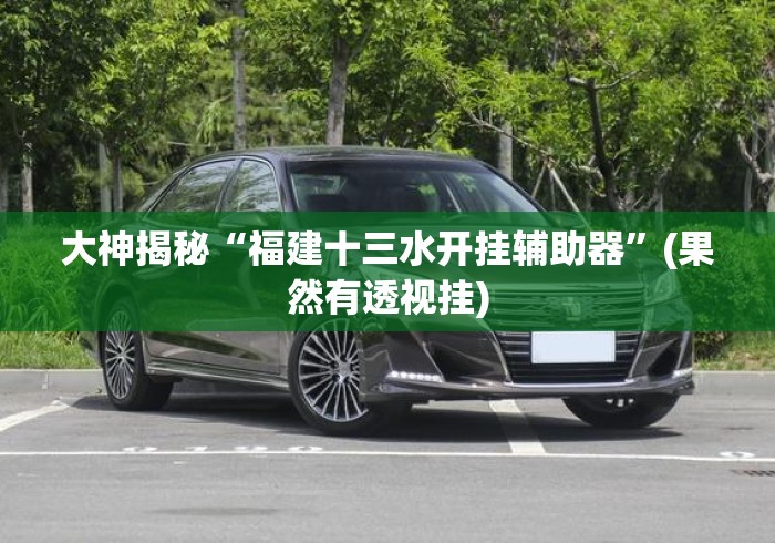 大神揭秘“福建十三水开挂辅助器”(果然有透视挂)