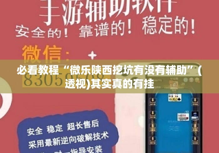 必看教程“微乐陕西挖坑有没有辅助”(透视)其实真的有挂