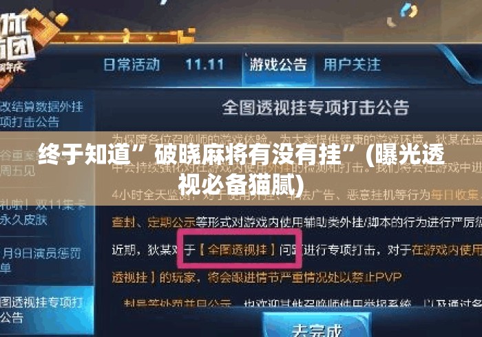 终于知道	”破晓麻将有没有挂”(曝光透视必备猫腻)