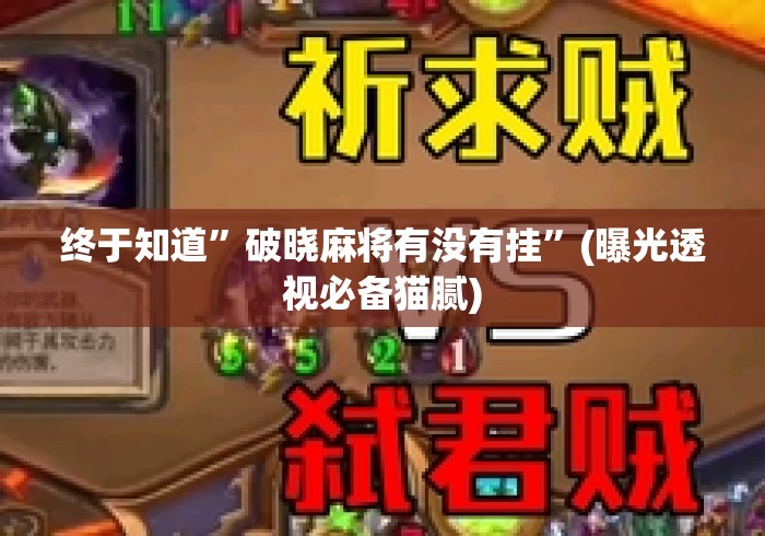 终于知道”破晓麻将有没有挂”(曝光透视必备猫腻)