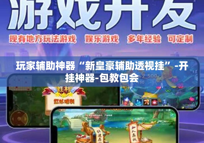玩家辅助神器“新皇豪辅助透视挂”-开挂神器-包教包会