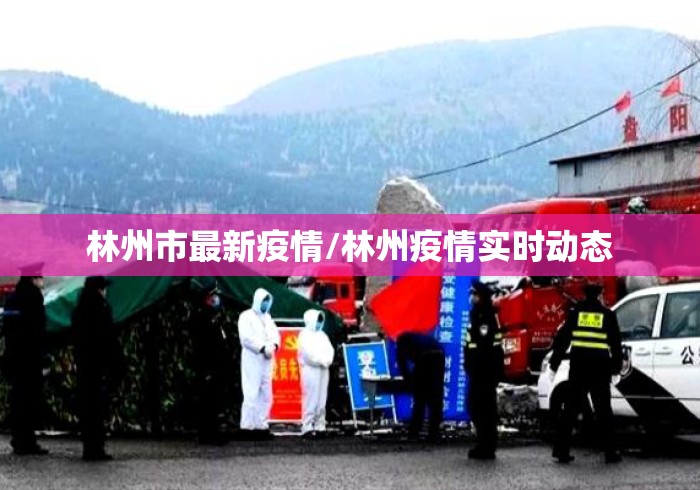 林州市最新疫情/林州疫情实时动态 林州市最新疫情/林州疫情实时动态