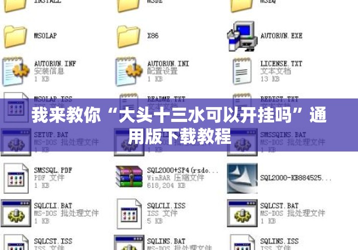 我来教你“大头十三水可以开挂吗”通用版下载教程