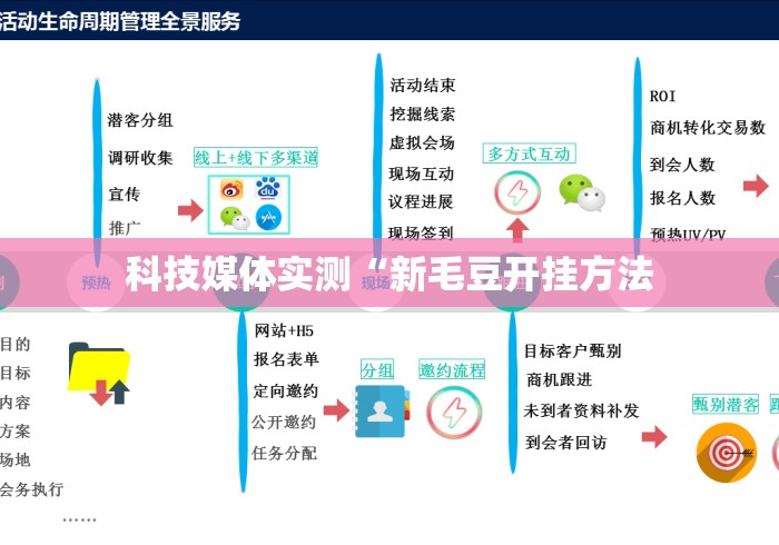 科技媒体实测“新毛豆开挂方法 科技媒体实测“新毛豆开挂方法
