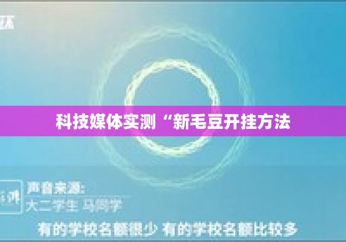 科技媒体实测“新毛豆开挂方法 科技媒体实测“新毛豆开挂方法