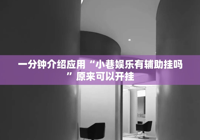 一分钟介绍应用“小巷娱乐有辅助挂吗	”原来可以开挂