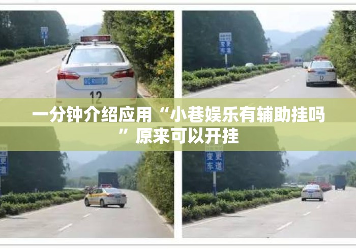 一分钟介绍应用“小巷娱乐有辅助挂吗	”原来可以开挂