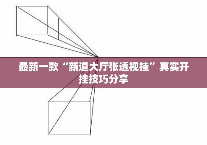 最新一款“新道大厅张透视挂”真实开挂技巧分享