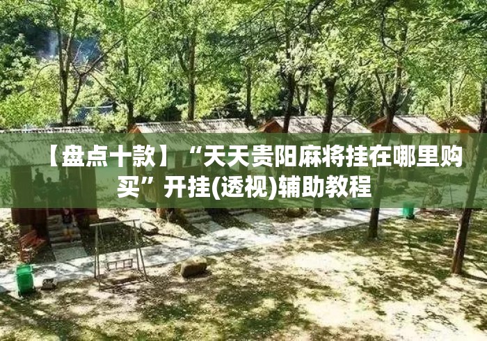 【盘点十款】“天天贵阳麻将挂在哪里购买	”开挂(透视)辅助教程