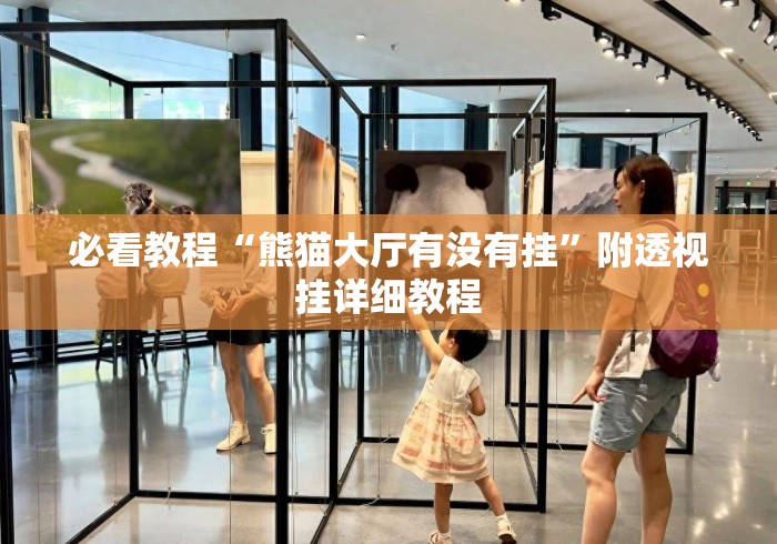 必看教程“熊猫大厅有没有挂”附透视挂详细教程