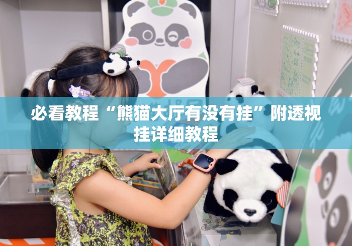 必看教程“熊猫大厅有没有挂”附透视挂详细教程