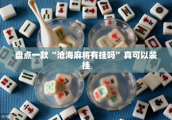 盘点一款“沧海麻将有挂吗”真可以装挂