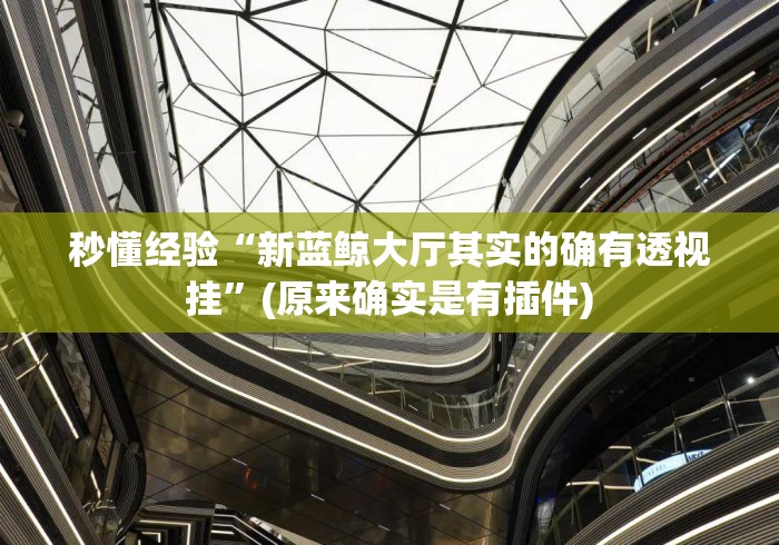 秒懂经验“新蓝鲸大厅其实的确有透视挂”(原来确实是有插件)