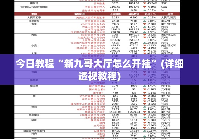 今日教程“新九哥大厅怎么开挂”(详细透视教程)