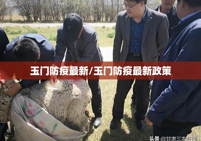 玉门防疫最新/玉门防疫最新政策 玉门防疫最新/玉门防疫最新政策