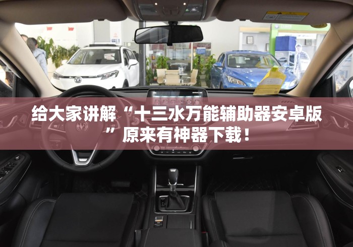 给大家讲解“十三水万能辅助器安卓版”原来有神器下载！