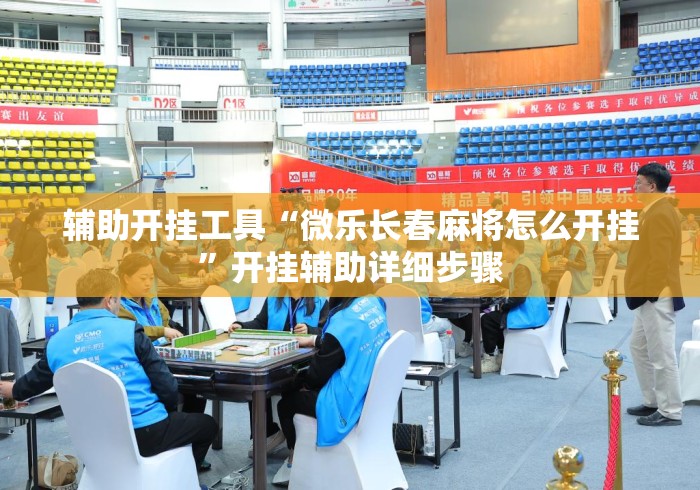 辅助开挂工具“微乐长春麻将怎么开挂”开挂辅助详细步骤