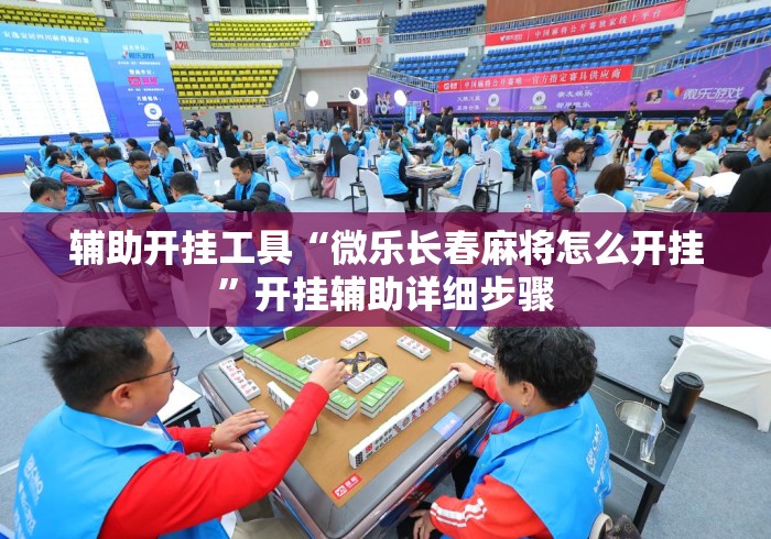 辅助开挂工具“微乐长春麻将怎么开挂	”开挂辅助详细步骤
