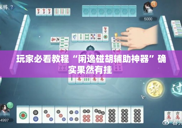 玩家必看教程“闲逸碰胡辅助神器	”确实果然有挂 