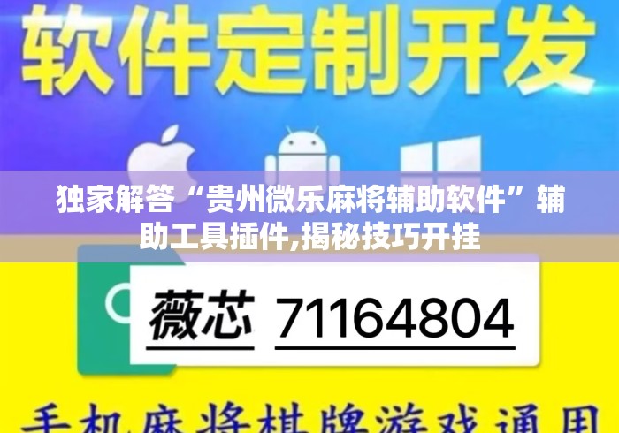 独家解答“贵州微乐麻将辅助软件	”辅助工具插件,揭秘技巧开挂