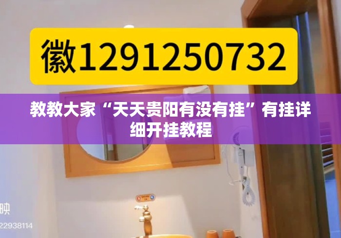 教教大家“天天贵阳有没有挂”有挂详细开挂教程