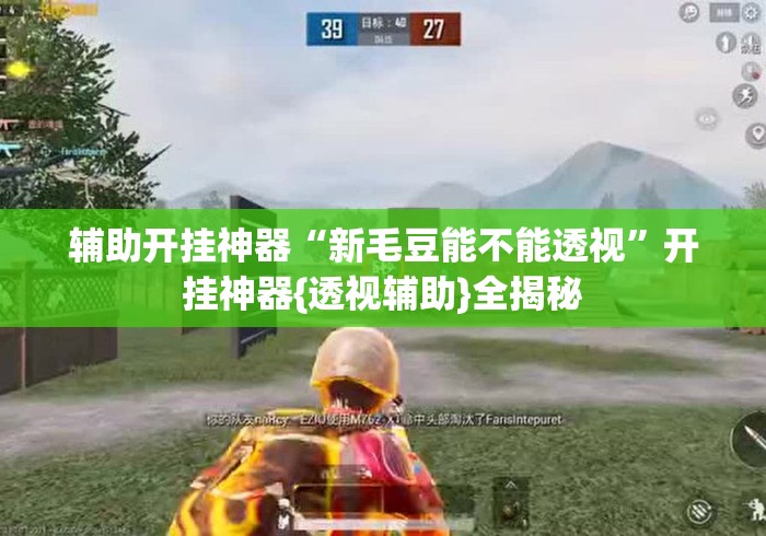 辅助开挂神器“新毛豆能不能透视”开挂神器{透视辅助}全揭秘