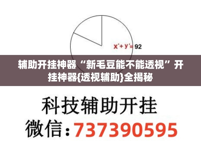 辅助开挂神器“新毛豆能不能透视”开挂神器{透视辅助}全揭秘