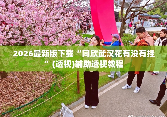 2026最新版下载“同欣武汉花有没有挂	”(透视)辅助透视教程