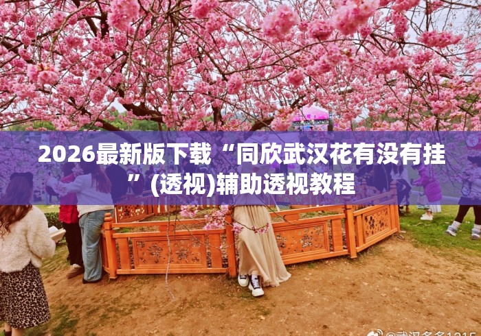2026最新版下载“同欣武汉花有没有挂”(透视)辅助透视教程