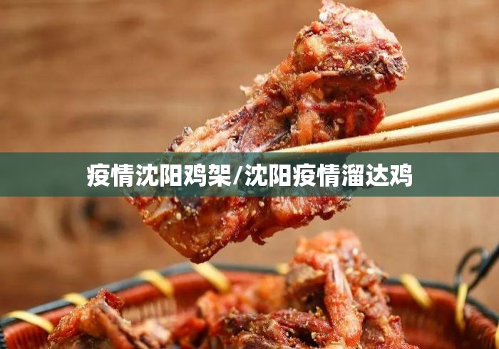 疫情沈阳鸡架/沈阳疫情溜达鸡 疫情沈阳鸡架/沈阳疫情溜达鸡