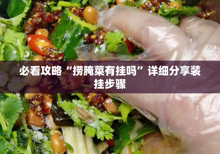必看攻略“捞腌菜有挂吗”详细分享装挂步骤