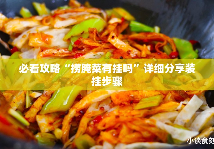 必看攻略“捞腌菜有挂吗”详细分享装挂步骤