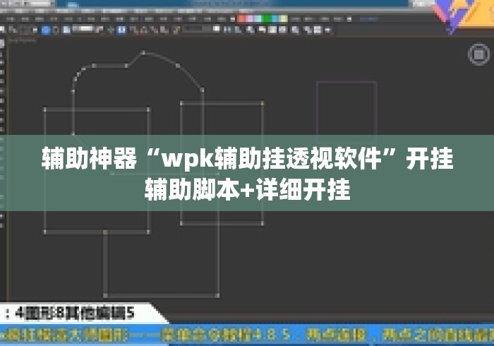 辅助神器“wpk辅助挂透视软件	”开挂辅助脚本+详细开挂