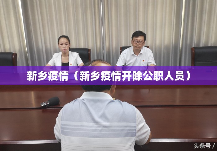 新乡疫情（新乡疫情开除公职人员）