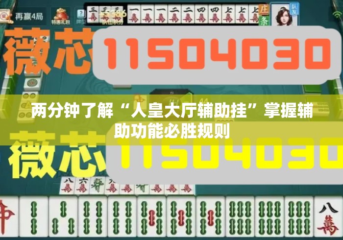 两分钟了解“人皇大厅辅助挂”掌握辅助功能必胜规则